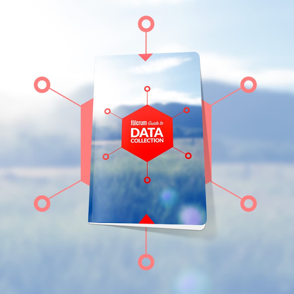 Fulcrum Book Data