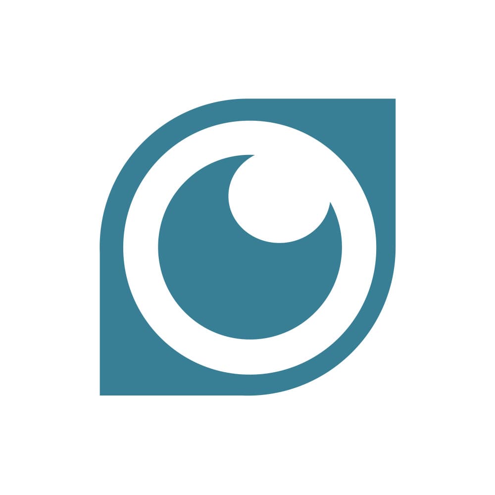 Foresight Icon