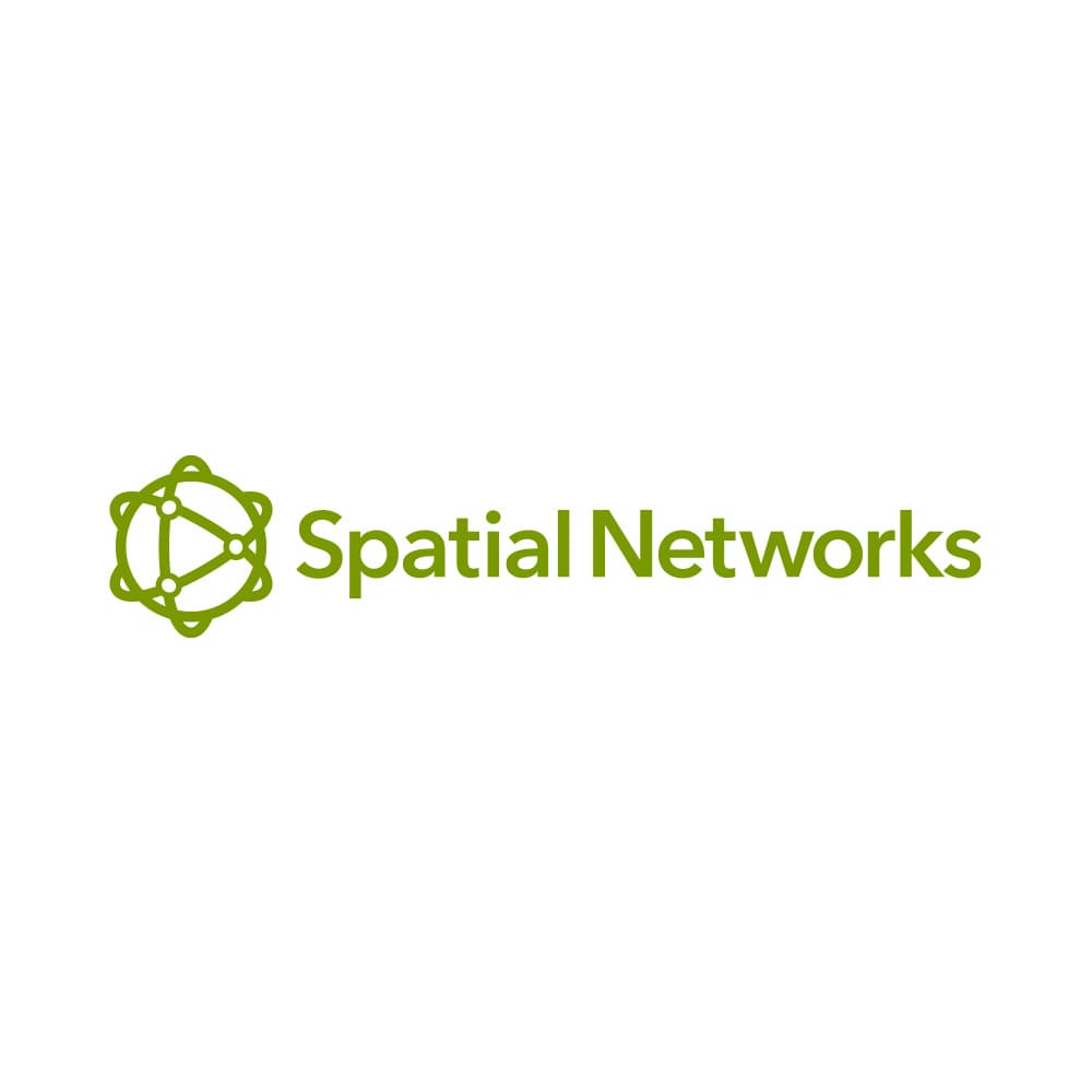 Spatial Networks Logo